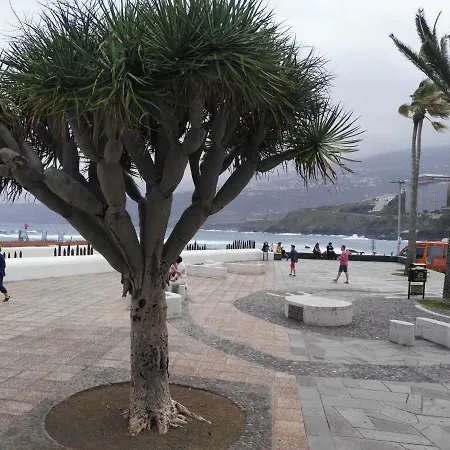 شقة Playa Jardin Valle Luz بويرتو ذي لا كروز